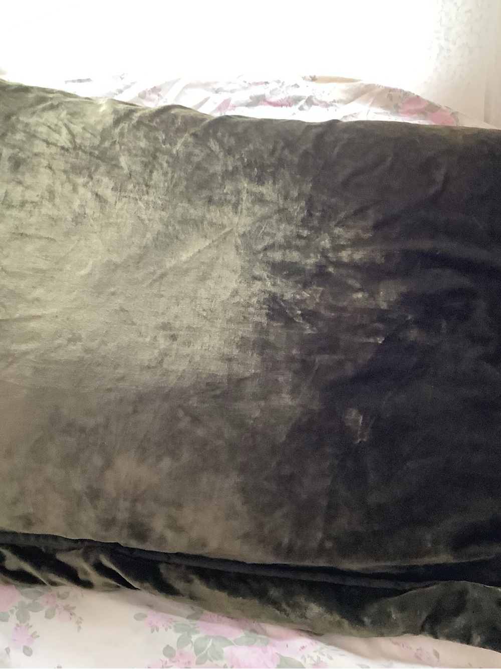 Green “ velveteen standard pillow sham..